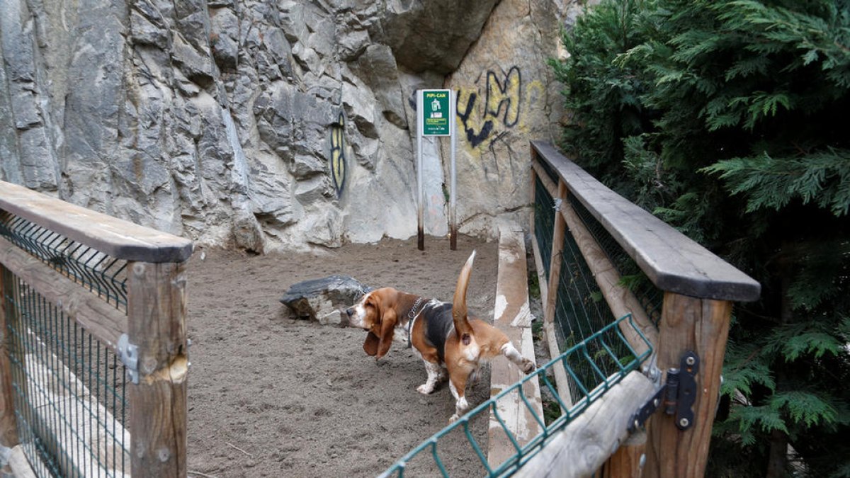 El parc per a gossos, sense data per obrir