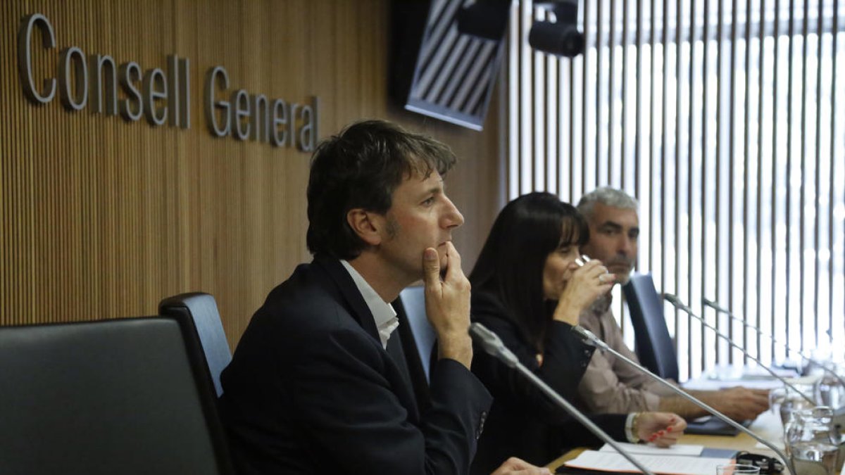 Compareixença del director d'RTVA al Consell General