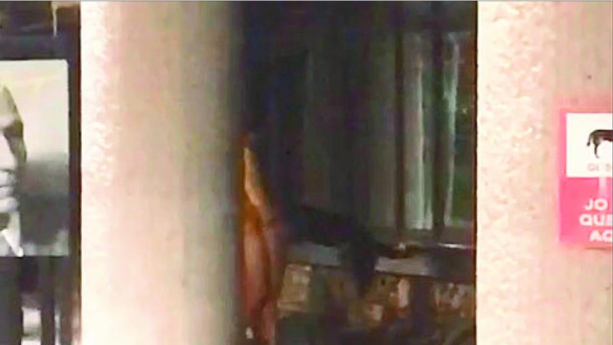 Linxs i ProLiga, als set tuits