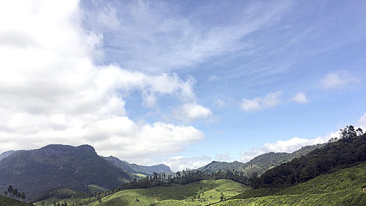 'La vida de Pi' i un paisatge atípic