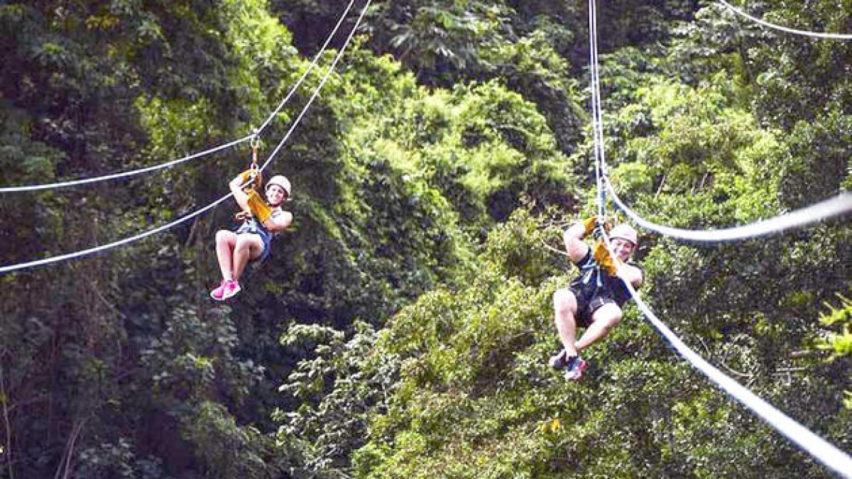 Desperta Laurèdia decideix presentar al·legacions contra la tirolina