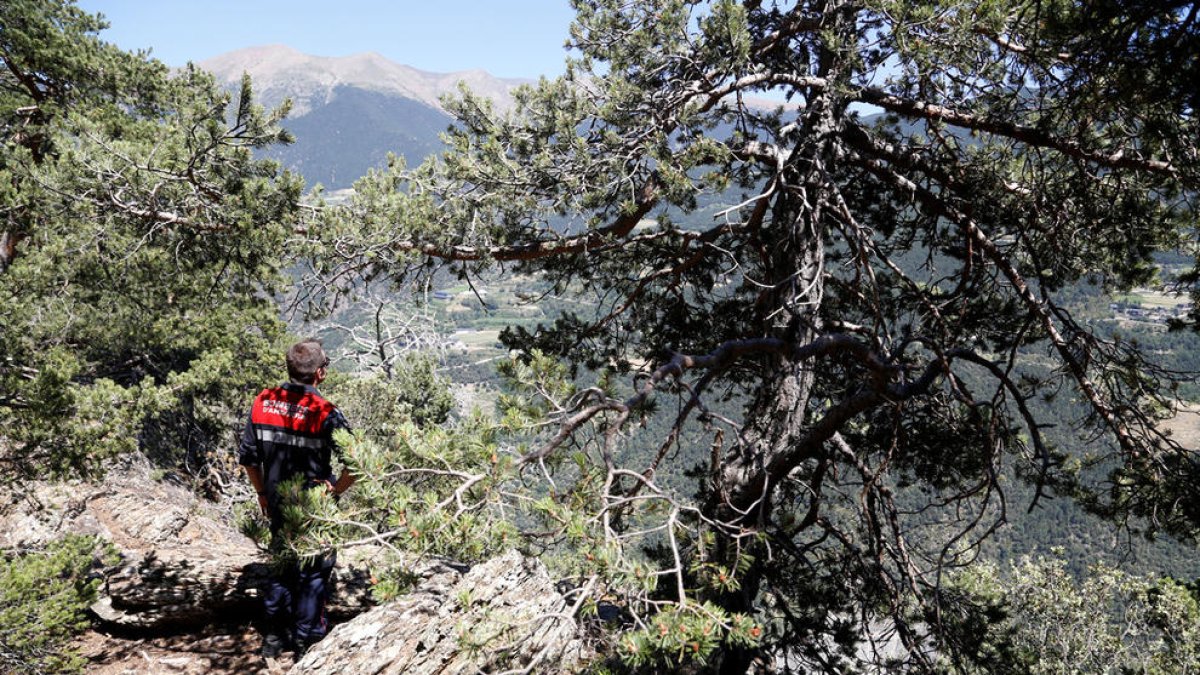 Perill d'incendi alt a la zona sud del Principat