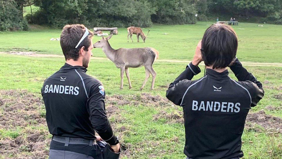 Els banders es formen sobre la gestió de l'os