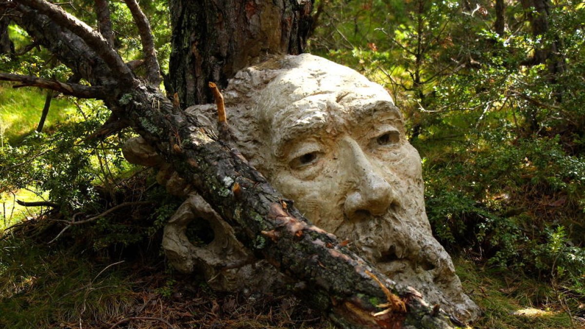 El Bosc Viu d'Ordino s'omple de figures amagades