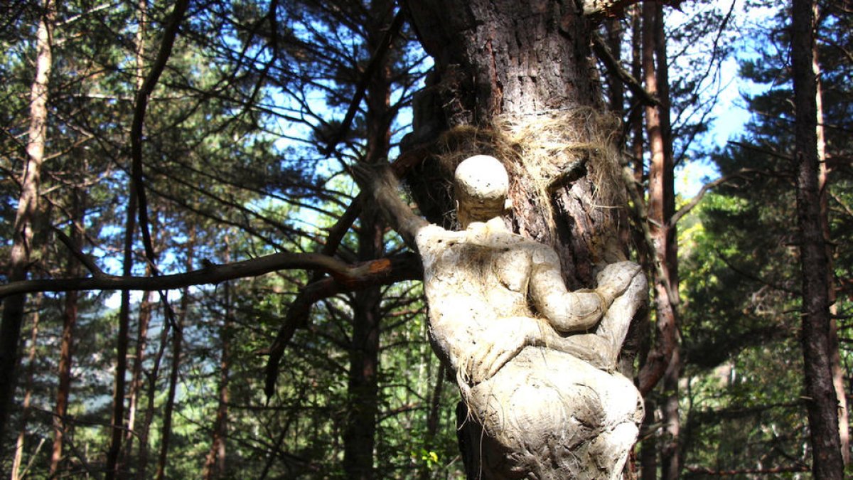 Nous protectors per al bosc viu d'Ordino de la mà de Calvente