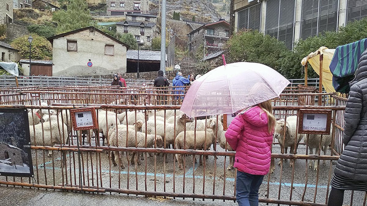 Bestiar xop de cap a potes