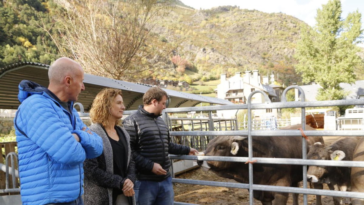 Els ramaders d'Andorra volen diversificar els productes per arribar a més gent