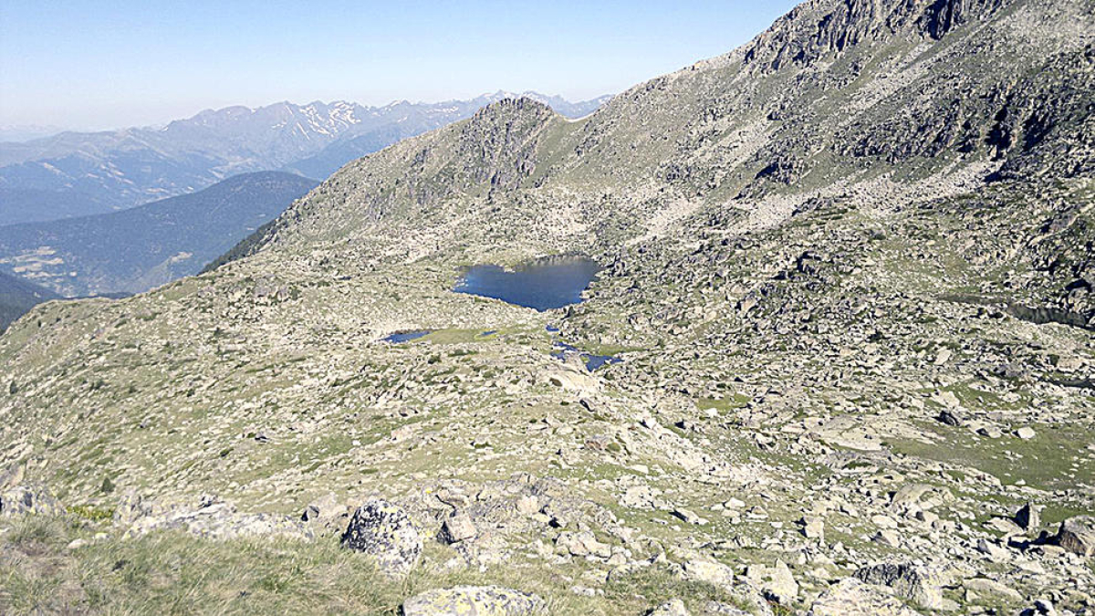 Vincle amb la natura