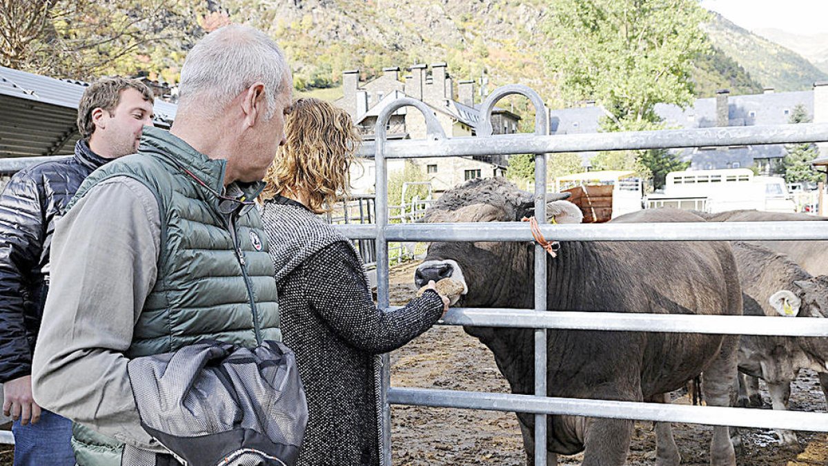 Les safates de carn de qualitat estaran a la venda al desembre o al gener