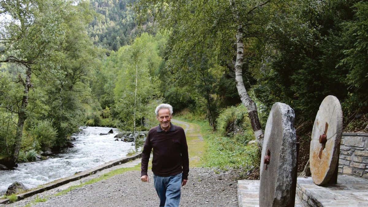 Recuperar les arrels