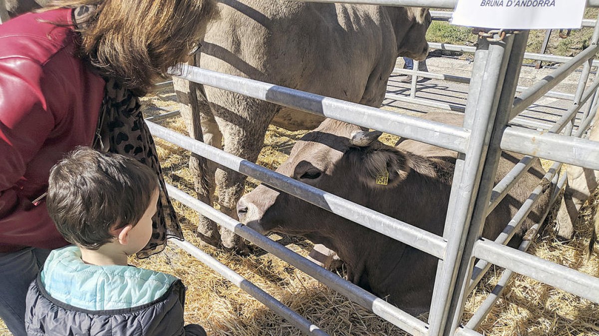 Bestiar “de proximitat”