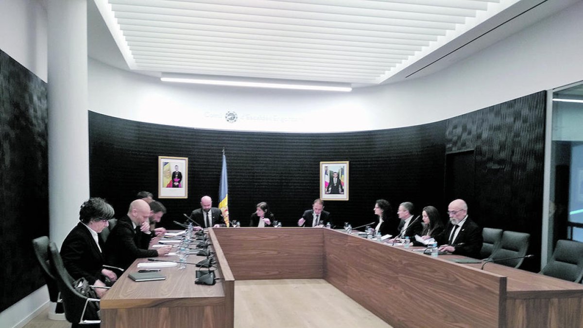 Adjudicada l'anàlisi per ADN de la tifa de gos