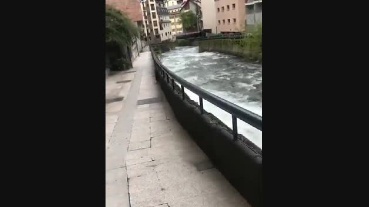 El visó americà perdut ha estat vist a diferents zones del país