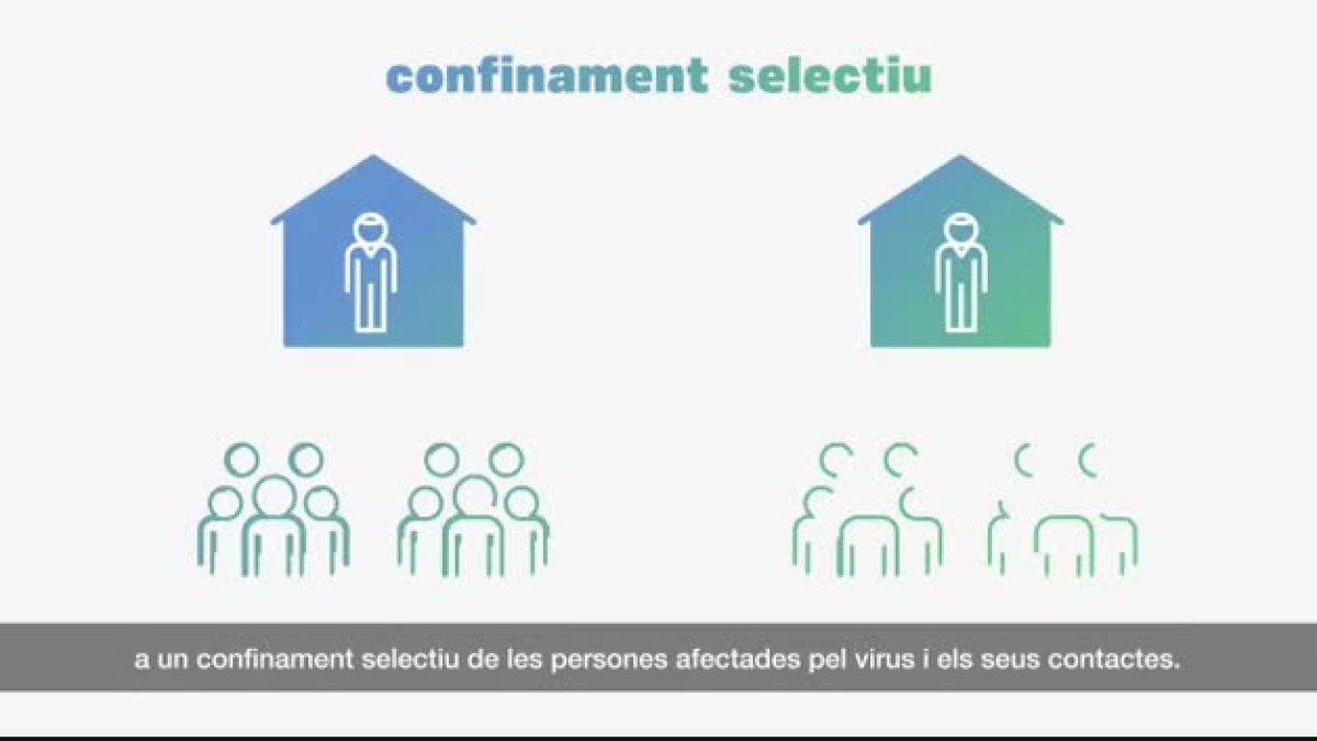 El procediment dels tests d'anticossos