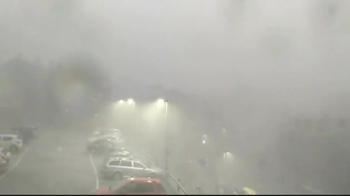 Calamarsada a la Cortinada