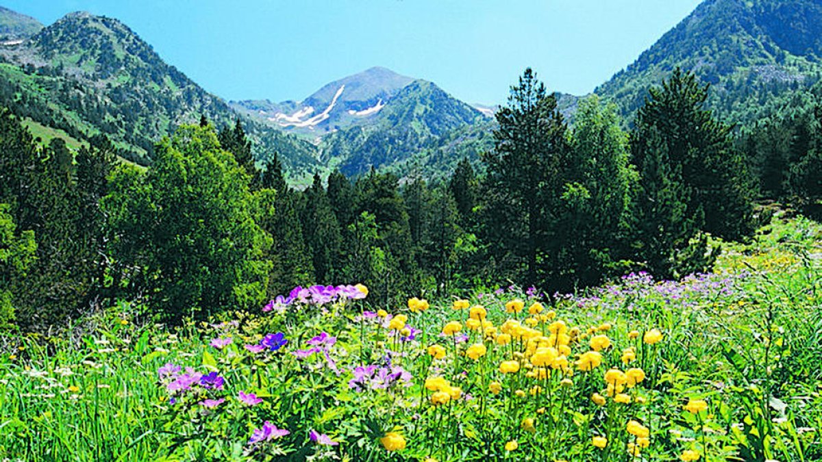 Andorra formarà part d'una xarxa de laboratoris botànics pionera a Europa