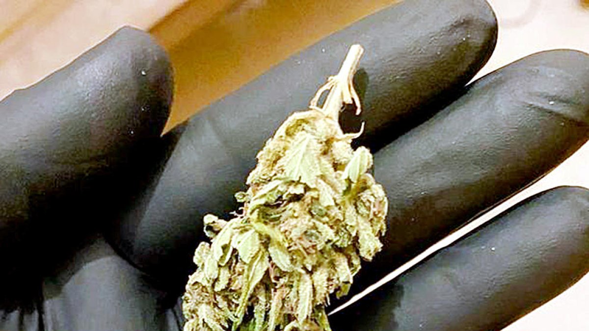 El preu de la droga es triplica per l'escassetat