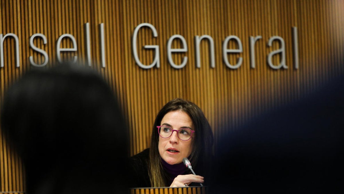 La comissió jurídica té el mandat caducat fa dos anys