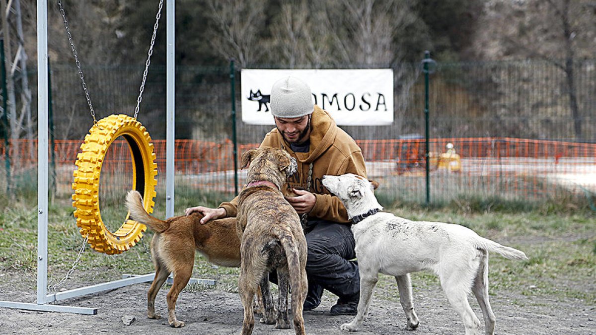 La gossera funciona en hores convingudes per als voluntaris