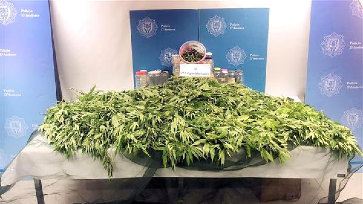 Pena mínima per al jubilat que plantava al seu hort marihuana