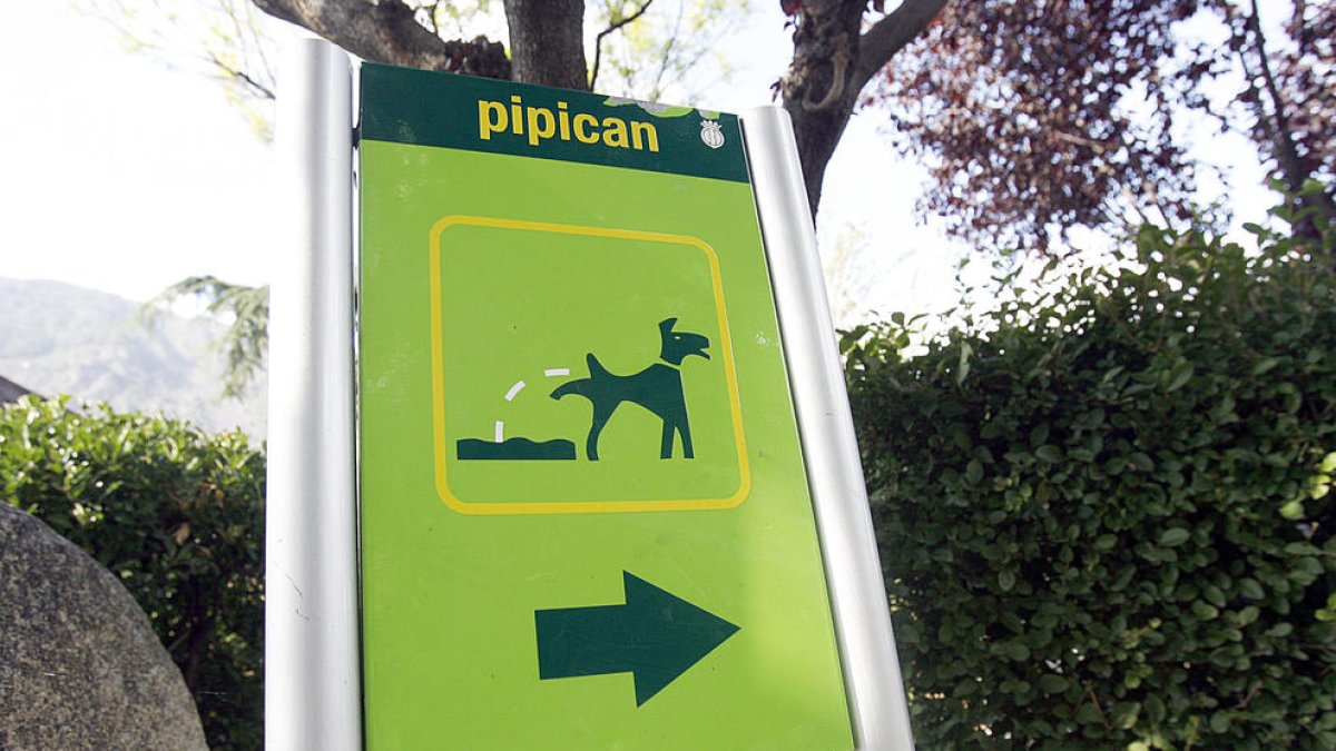 Ampolles d'aigua per als orins de gos a Escaldes