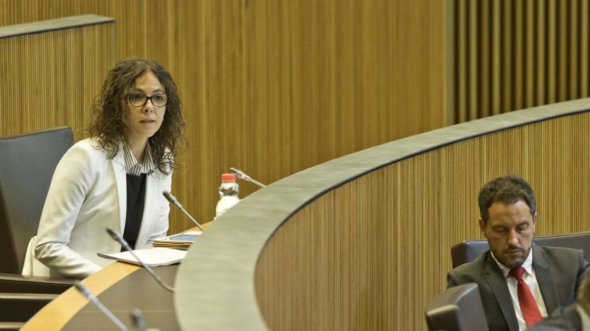 Judith Salazar i Pere López, al Consell General