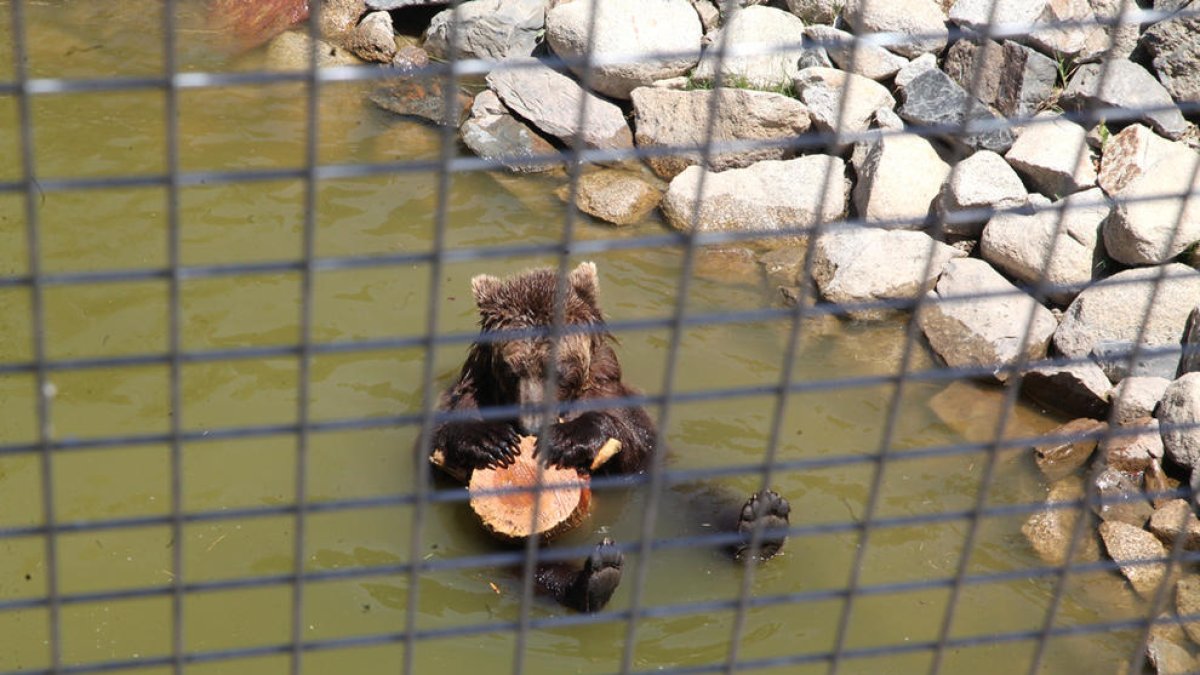 Naturlandia manté cinc treballadors al parc d'animals