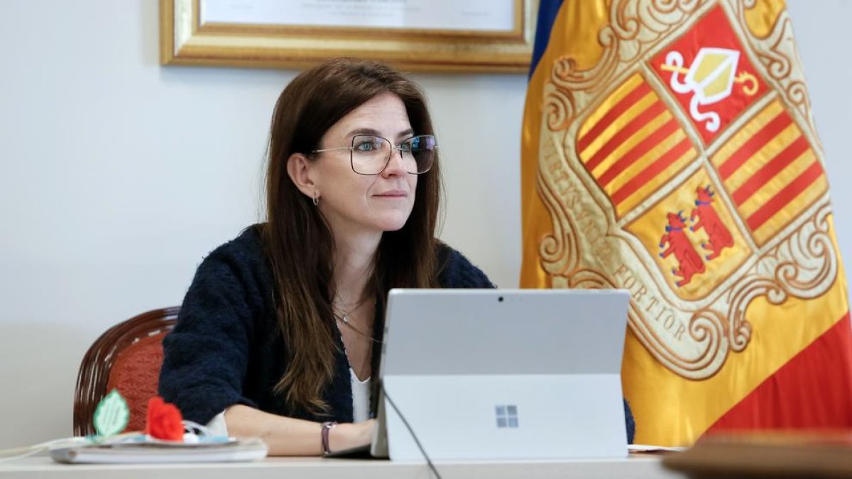 Sílvia Riva en una reunió telemàtica de la Unesco