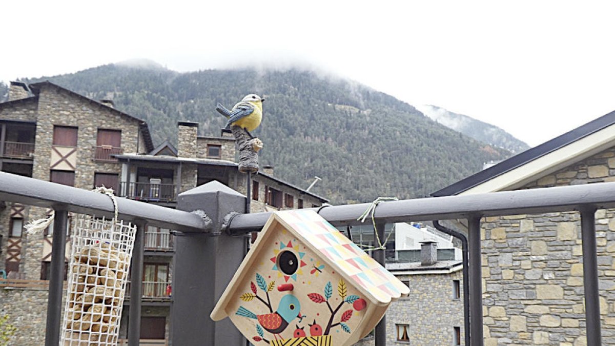 Natura en temps de confinament