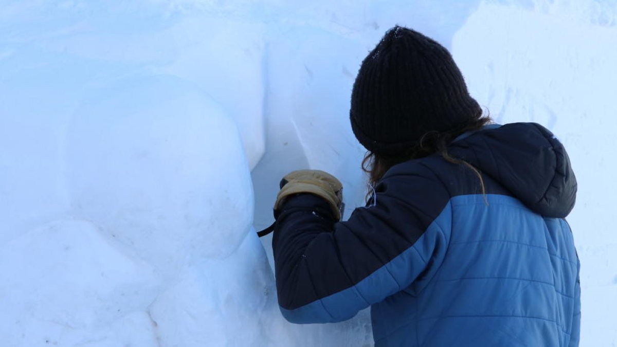 La flora i la fauna protagonitzaran el concurs d'escultures de neu del Pas