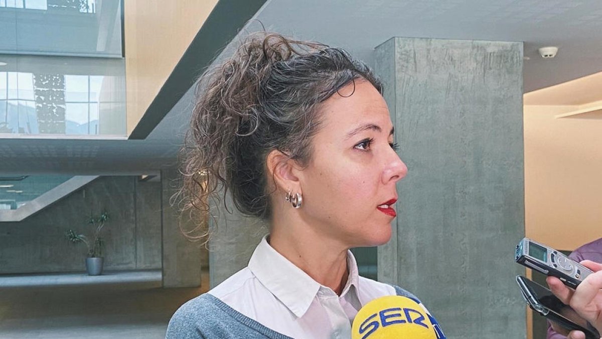El PS està preocupat pel futur de l'Observatori d'Igualtat