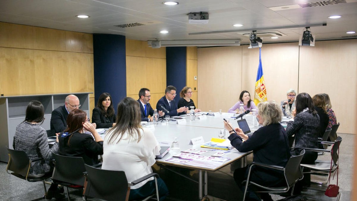 Europa revisa la implementació  del Conveni d'Istanbul al país