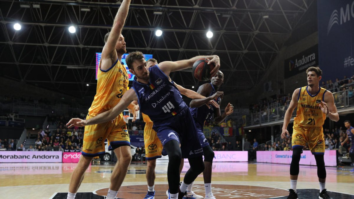 El MoraBanc Andorra busca un reforç interior a contrarellotge abans de marxar dijous a València