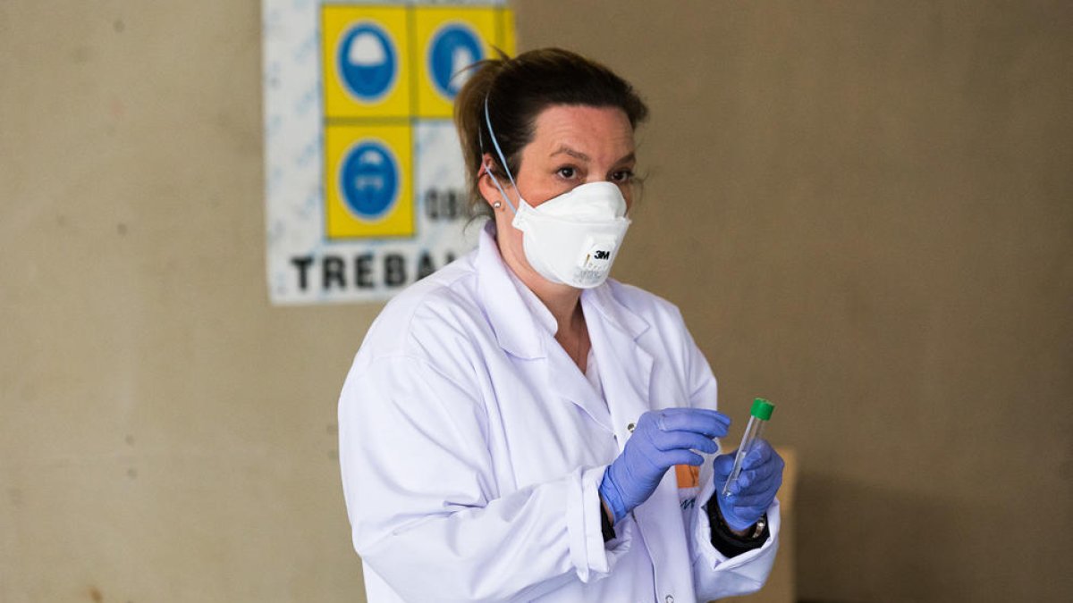 Els tests del coronavirus no seran obligatoris