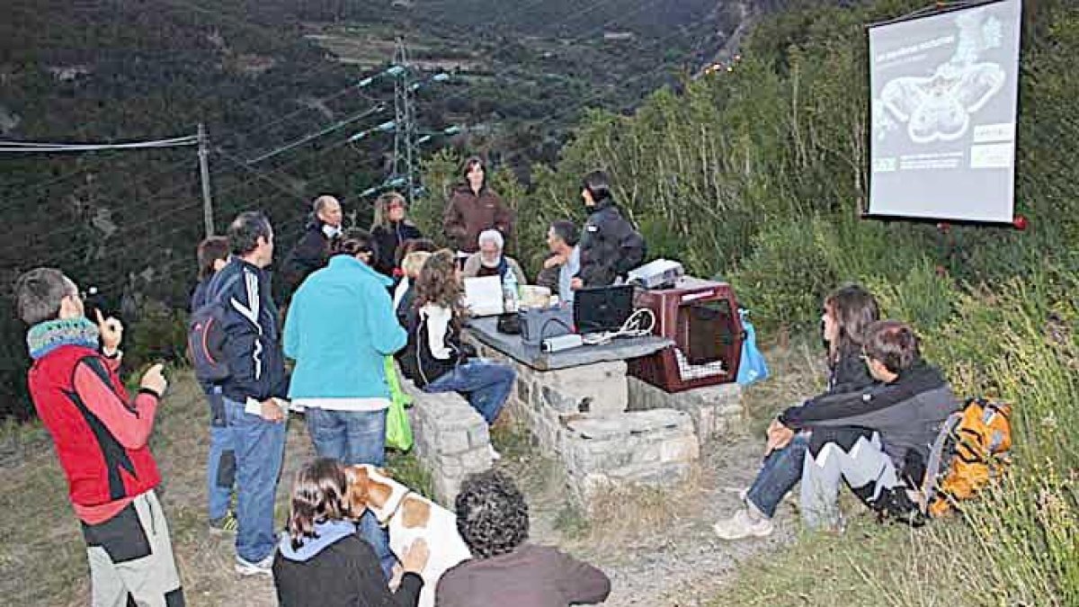 La nit de les papallones nocturnes