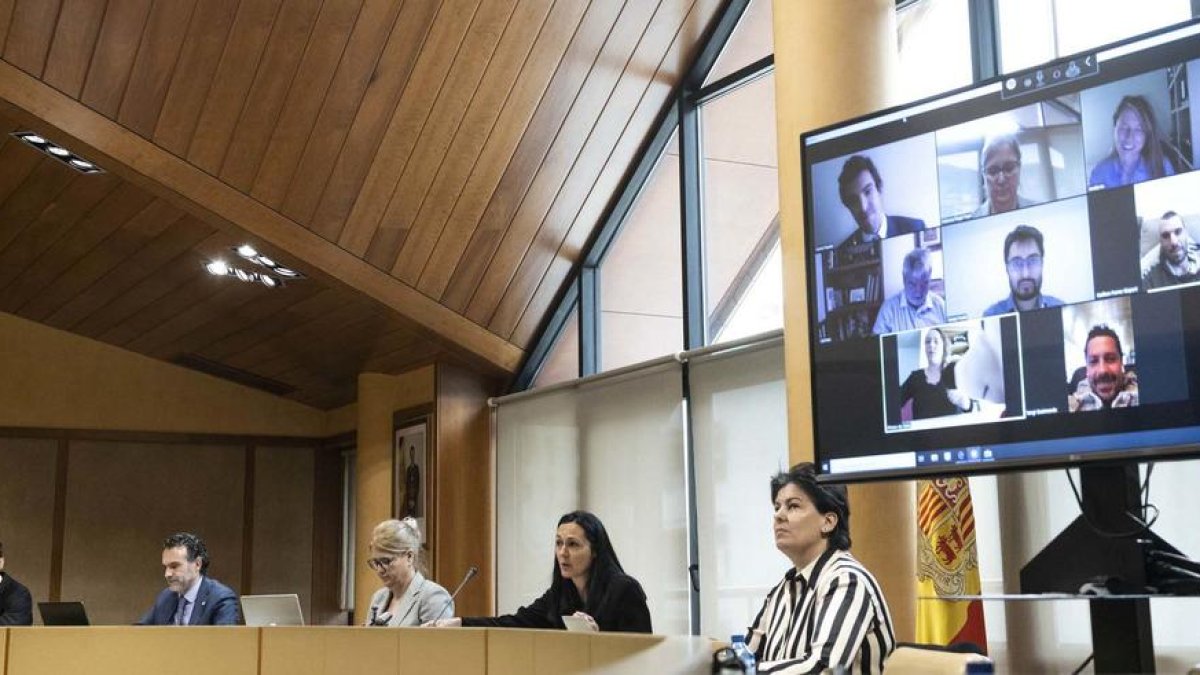 Consell de comú de la massana