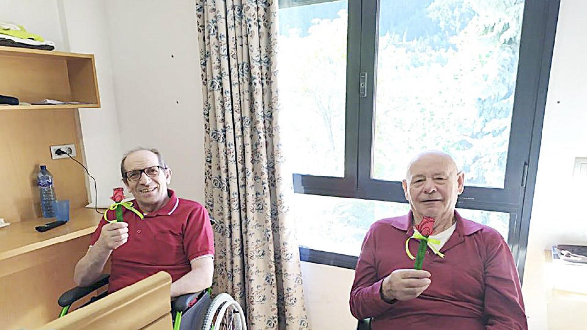 Sant Jordi a El Cedre