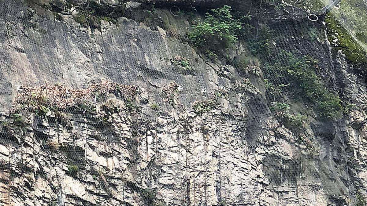 Una col·lisió entre un cotxe i una moto deixa un ferit lleu