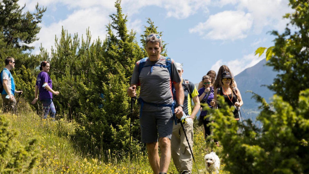 activitats estiu la Massana
