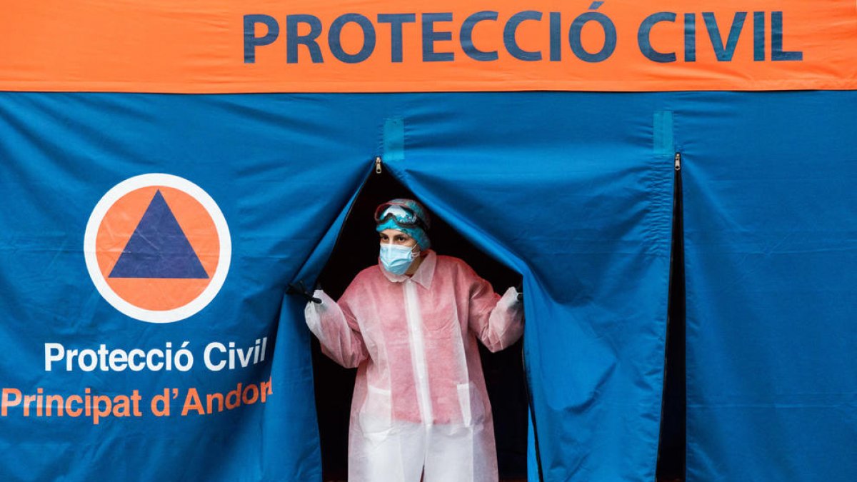 Segon brot a la baixa