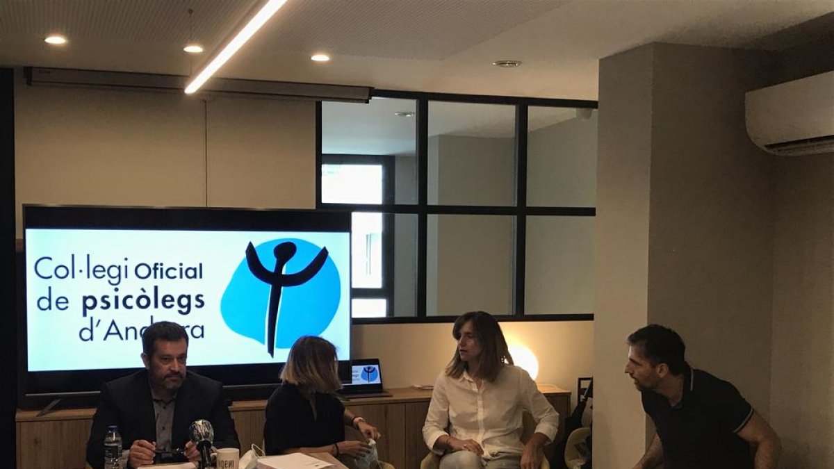 Òscar Fernández ha presentat l'enquesta a la població sobre aspectes psicològics