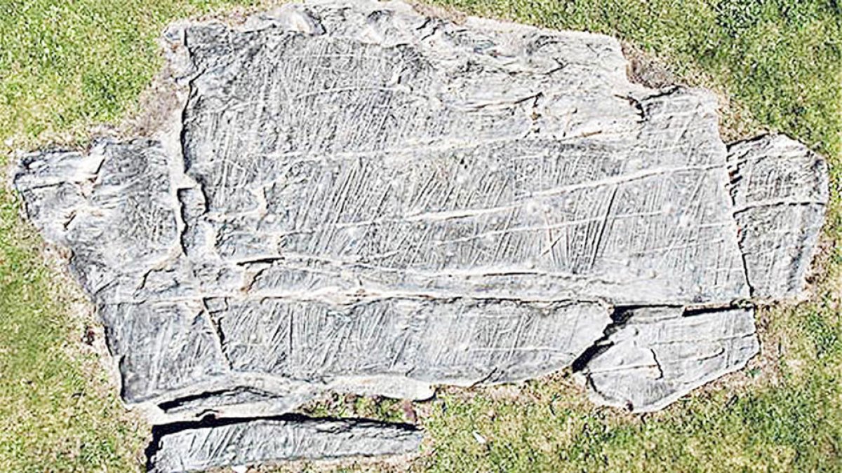 Remolins valora la intenció del Govern però afirma que la prioritat és treure l'arbre