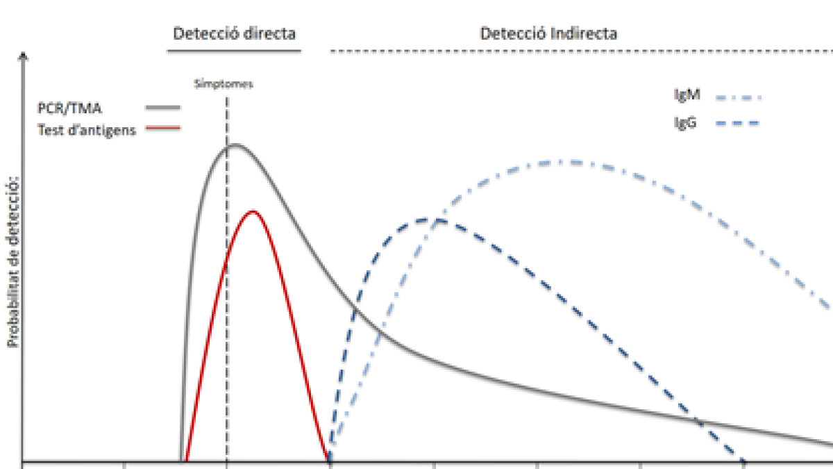PCR, TMA i test d'antígens