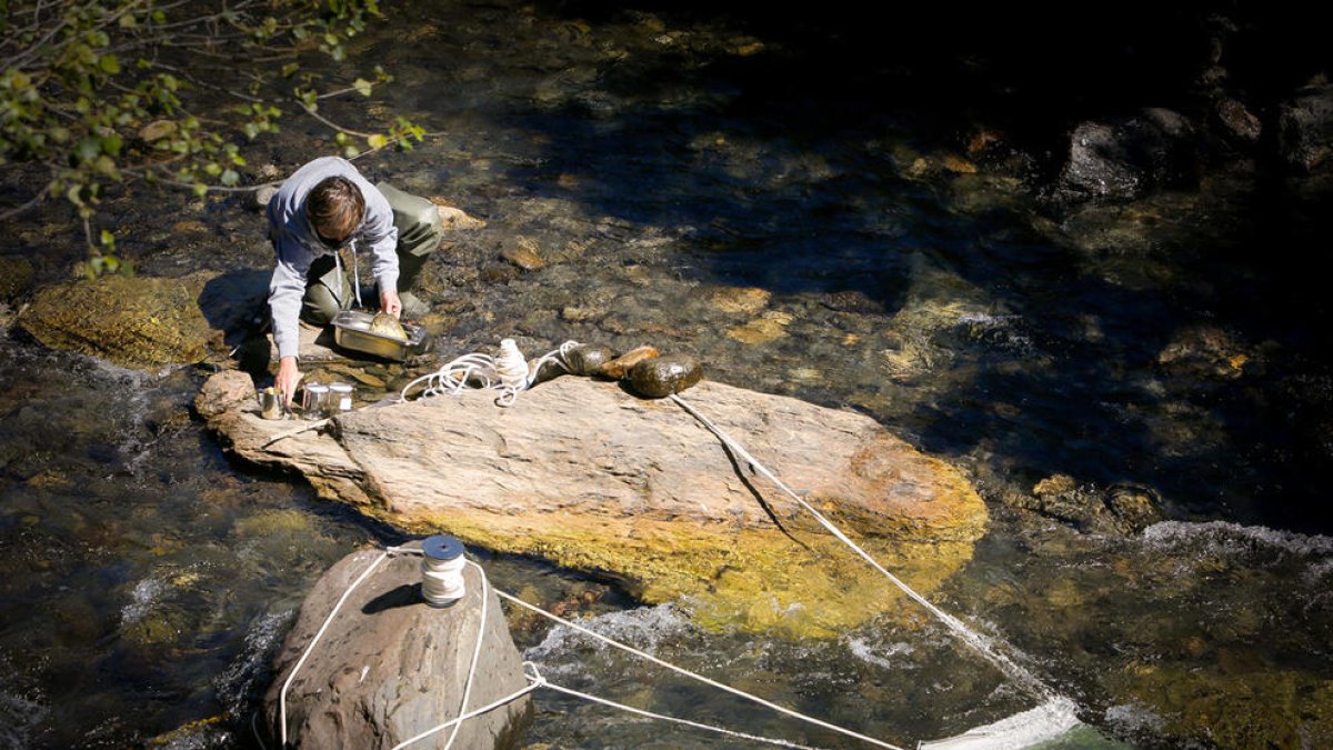 La lluita contra el plàstic