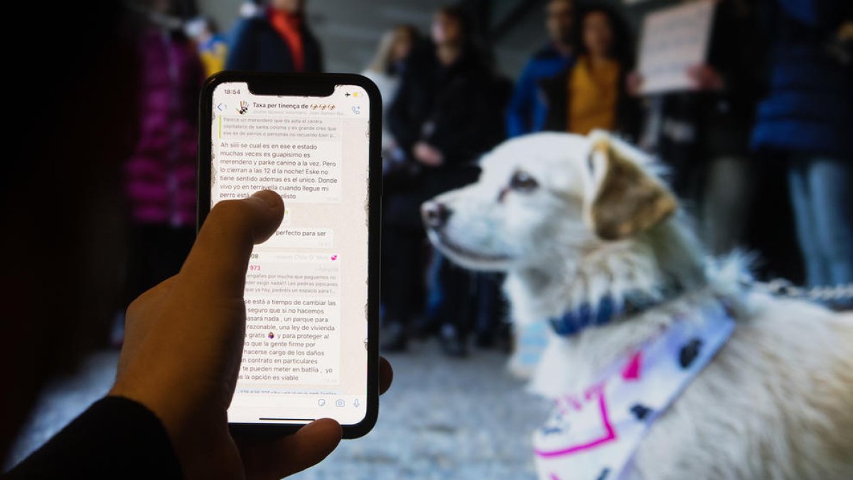 Els propietaris de gossos s'organitzen per protestar contra la nova taxa