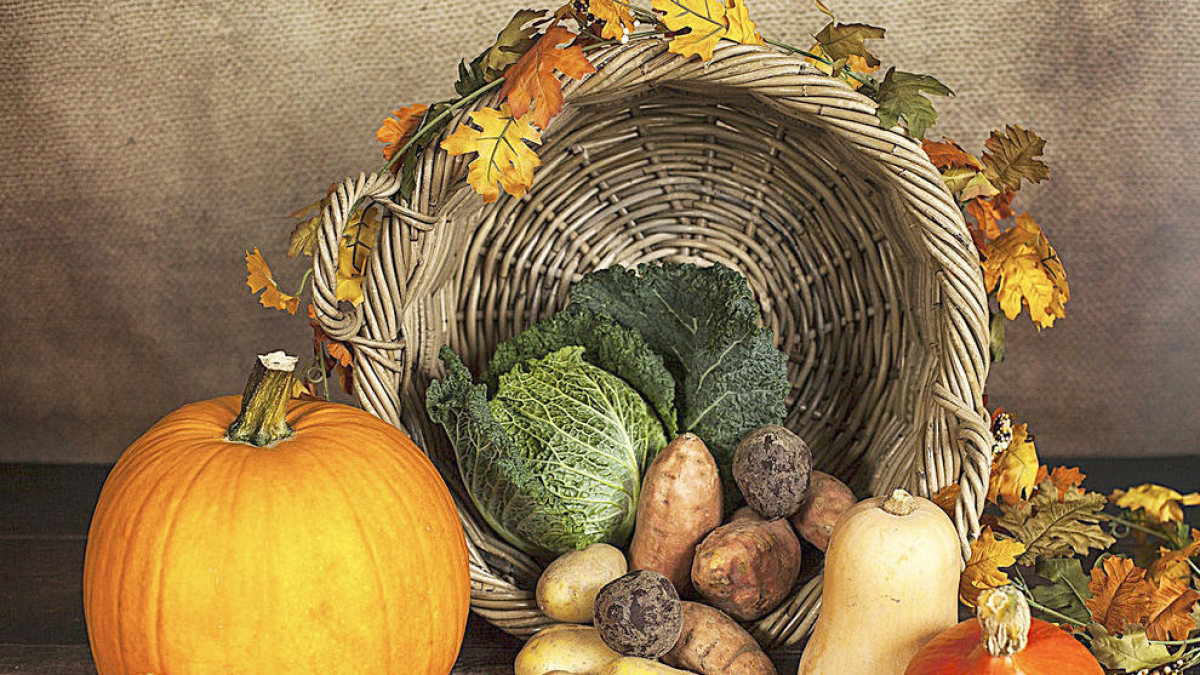 Nutrició a la tardor (I)