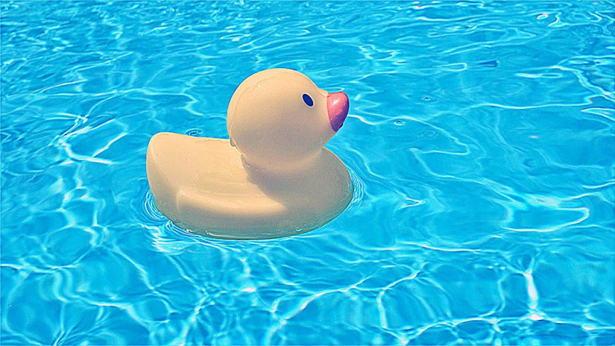 De vacances amb els nens