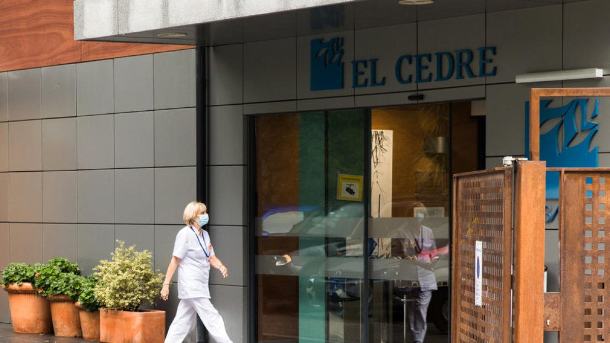 El Cedre