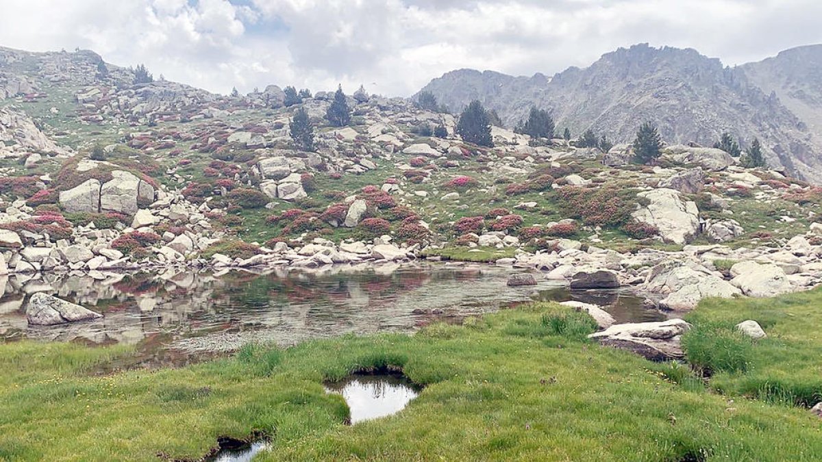 Encamp presenta la 37a edició de l'OTSO Travessa