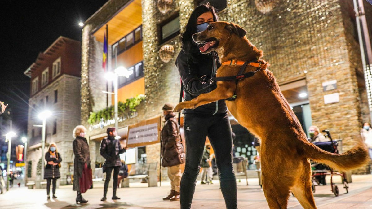 Concentració anti taxa tinença gossos